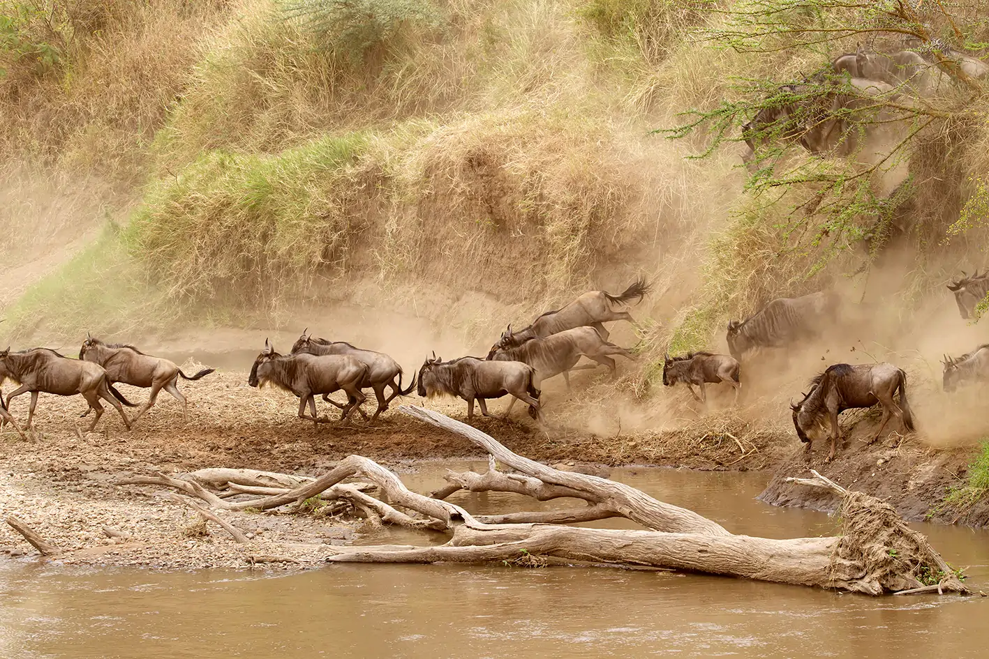 9 Days Tanzania Luxury Safari